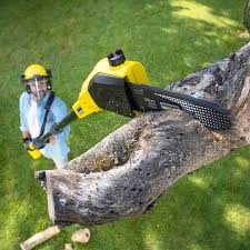 Best Aeration Services  in Ben Wheeler, TX